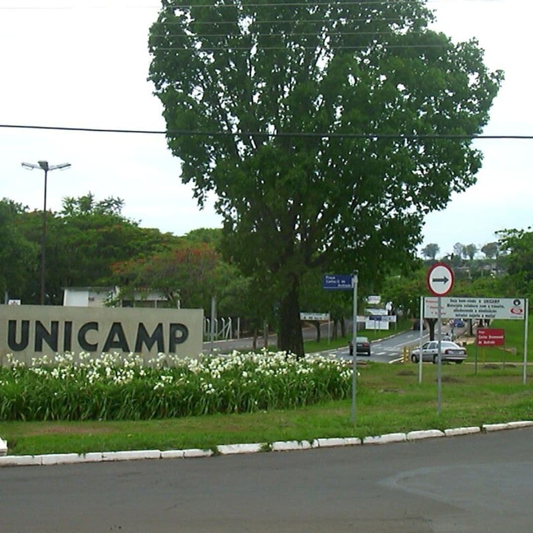 Letreiro com o nome Unicamp em um canteiro de flores na entrada do campus, com árvores e uma rua ao fundo