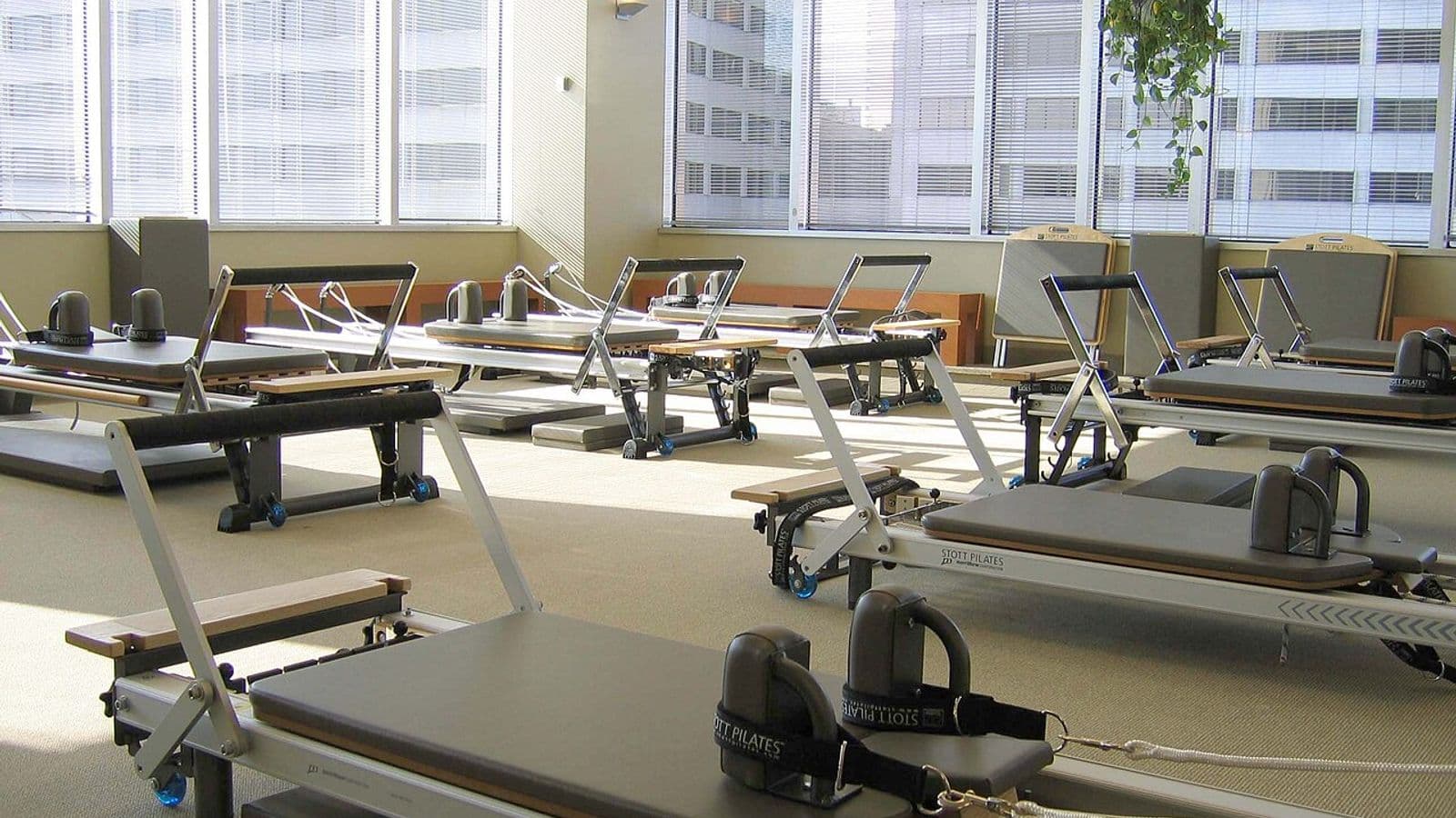 Sala de studio com vários aparelhos reformer de pilates enfileirados diante de janelas